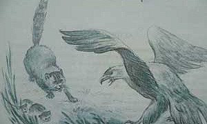 Орёл и кошка  - Ушинский К.Д.