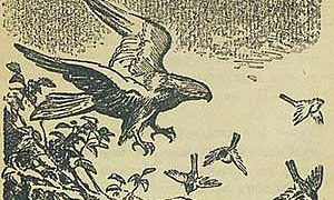 Воробей - Толстой А.Н., картинка