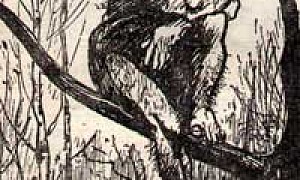 Дикий помещик (Сказка Салтыкова-Щедрина), картинка