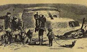 Квикверн Квикверн (Сказка Киплинга), картинка