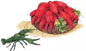 Где раки зимуют (Сказка Бианки В.В.), картинка