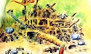 Муравей и стрекоза (Сказка Бианки В.В.), картинка