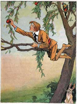 Пропавшая Принцесса Страны Оз (Сказка Л.Ф. Баума), рис.13