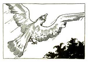 Волшебство Страны Оз (Сказка Л.Ф. Баума), рис.2