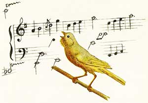 Музыкальная канарейка - Бианки