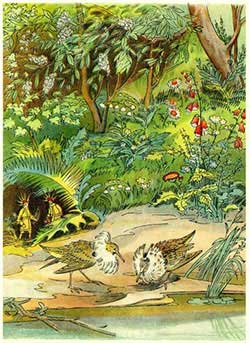 Зой и Зоя (Сказка Бианки В.В.), рис.5