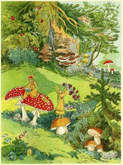 Зой и Зоя (Сказка Бианки В.В.), рис.8