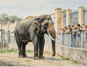 Слон и радио - Драгунский