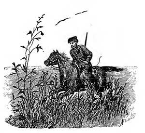 Тарас Бульба (Повесть Гоголя Н.В.), рис.17