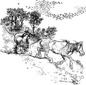 Лиса и лошадь - Гримм, рис.2