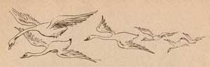 Шесть лебедей - Гримм, рис.4