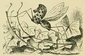 Алиса в зазеркалье - Льюис Кэрролл, рис.14