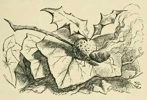 Алиса в зазеркалье - Льюис Кэрролл, рис.15