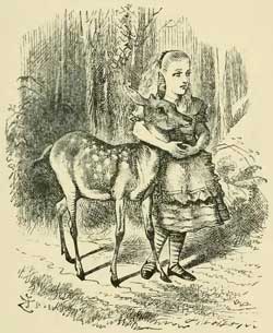 Алиса в зазеркалье - Льюис Кэрролл, рис.17