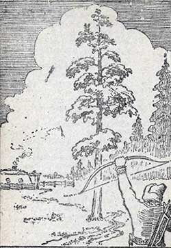 Девушка - хвощинка - Якутская сказка