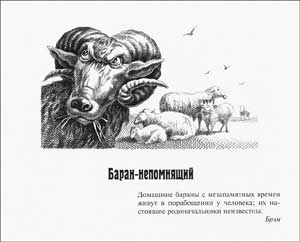 Баран-непомнящий (Сказка Салтыкова-Щедрина), картинка