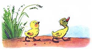 Цыплёнок и утёнок (Сказка Сутеева В.Г.), рис.3