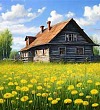 Золотой луг - Пришвин