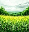 Здравствуй, трава! - Пивоварова