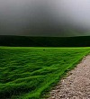 Камень и Червяк - Басня Крылова И.А.