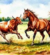 Почему зима длиннее, а лето короче - Якутские сказки