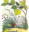 Под грибом (Сказка Сутеева В.Г.), картинка
