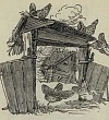 Курочка Ряба - Толстой А.Н., картинка
