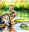 Кто-то и зайца боится - Якутские сказки