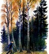 История одной яблоньки - Ушинский К.Д.