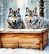 Таинственный ящик - Пришвин