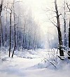 Тихий снег - Пришвин