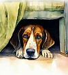 Предательская колбаса - Пришвин