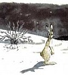 Русак (Сказка Толстого Л.Н.), картинка