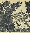 Великан - Толстой А.Н., картинка