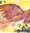 Сказка об Иване-царевиче и Сером Волке (Сказка Жуковского В.А.), картинка