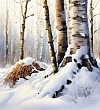 Муравьи - Пришвин