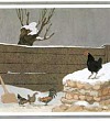 Черная курица