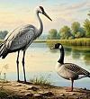 Гусь и журавль - Якутские сказки