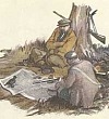 Ястреб и жаворонок - Пришвин