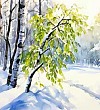 Деревья в плену - Пришвин