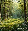 Весна-художник - Скребицкий