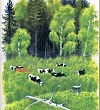 Гадюка - Ушинский К.Д.