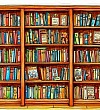 Книжные полки