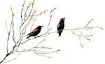 Птичьи домики (Сказка Пермяка Е.А.), картинка