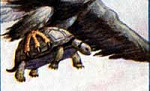 Черепаха и орел (Сказка Толстого Л.Н.), картинка