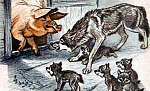 Волчица и свинья (Сказка Толстого Л.Н.), рисунок