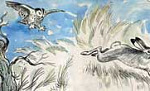 Сова и заяц (Сказка Толстого Л.Н.), картинка