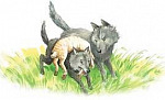 Как волки учат своих детей (Сказка Толстого Л.Н.), картинка