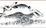Зайцы (Сказка Толстого Л.Н.), картинка