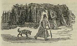 Медведь и собака - Толстой А.Н., картинка